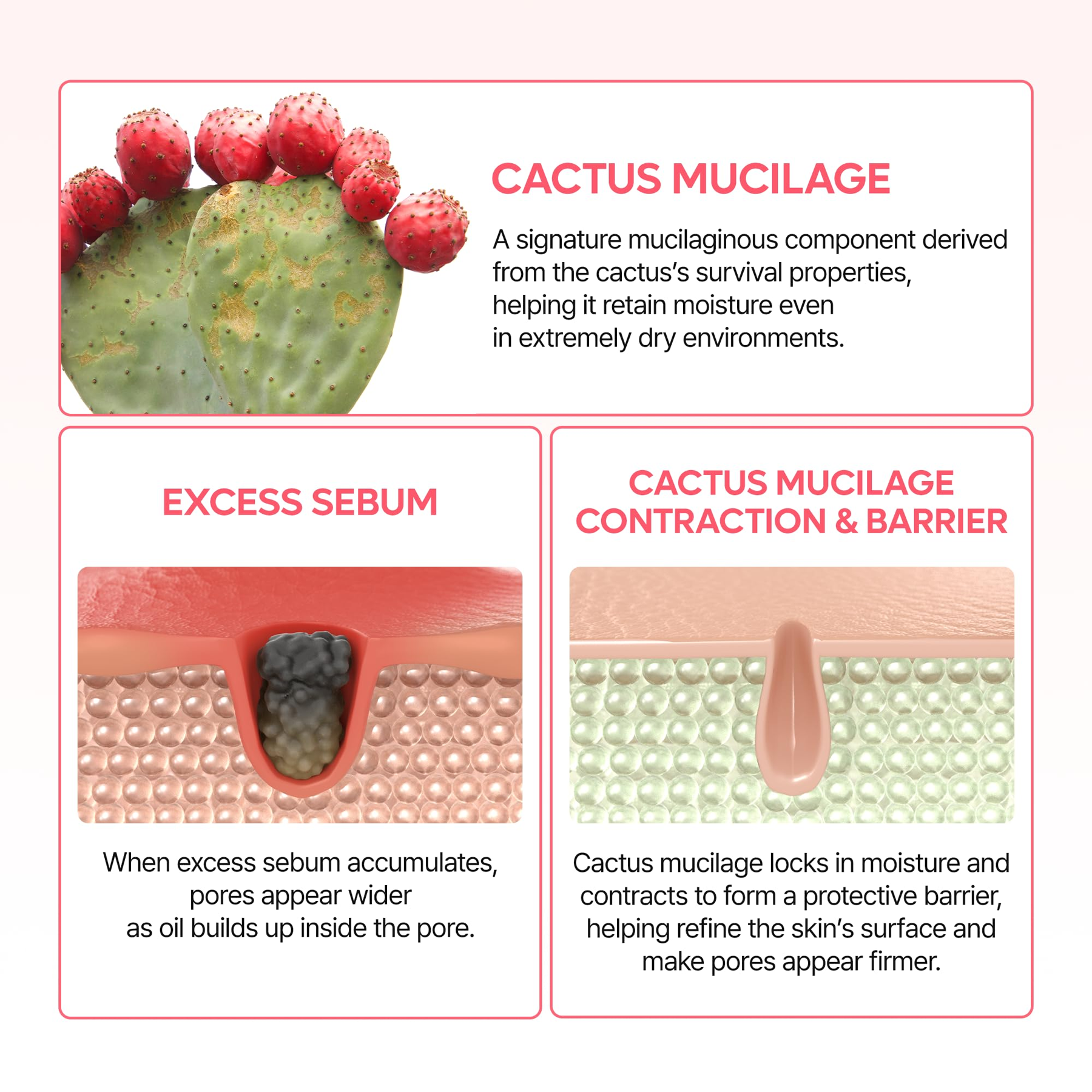 Benefits of using Dr.Melaxin Cactox Pore Relief Dual Capsule Cream